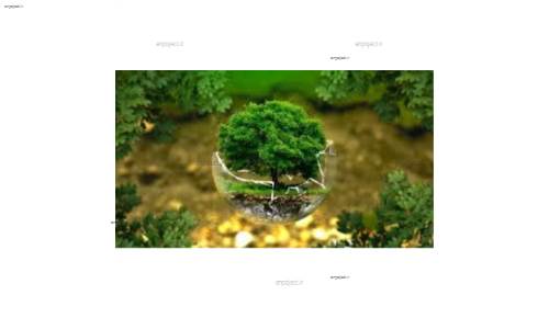  بررسی کیفیت آب سطحی با استفاده از شاخص NSFWQI و ارزیابی ریسک آلودگی (مطالعه موردی: حوضه آبریز رودخانه زاینده رود)